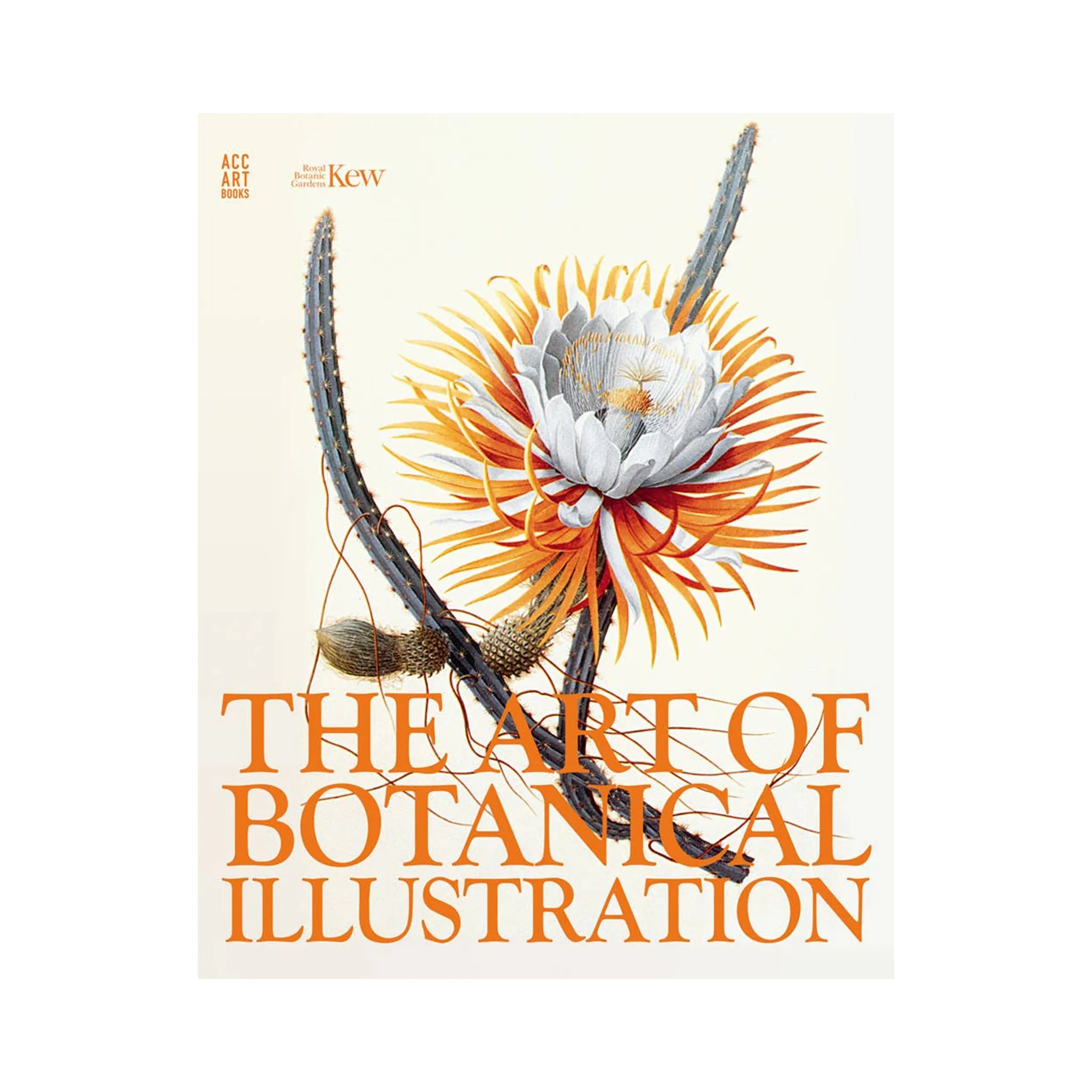 The Art of Botanical Illustration